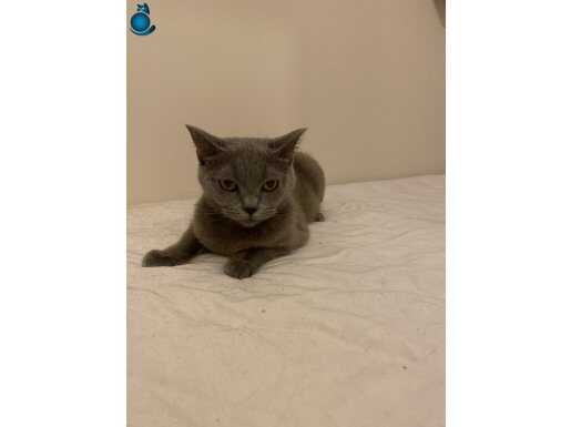 6 aylık acil geçici yuvada 