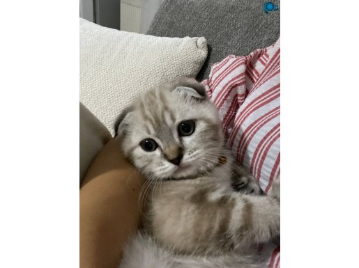 3 aylık oyuncu prenses 