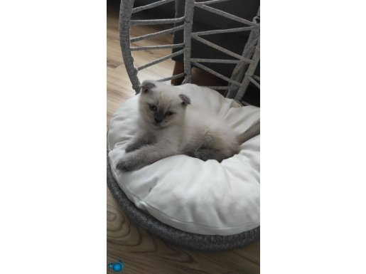 Oyuncu yakışıklı çok sevecen yakışıklı bir erkek ????