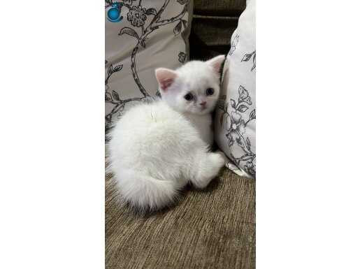 O sana baksin sen ona bak 