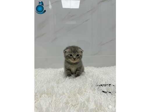 60 günlük son yavrumuz