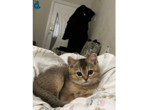 Yavrumuza yuva arıyoruz 