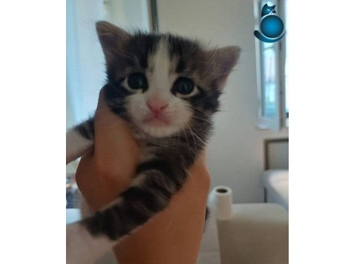 Sıcacık bir kucak arıyoruz 