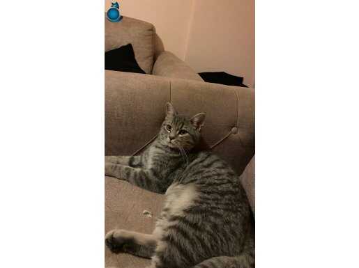 Çok tatlı ve eğitimli 