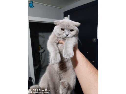 Çok cana yakın,oyuncu ve çok meraklı 