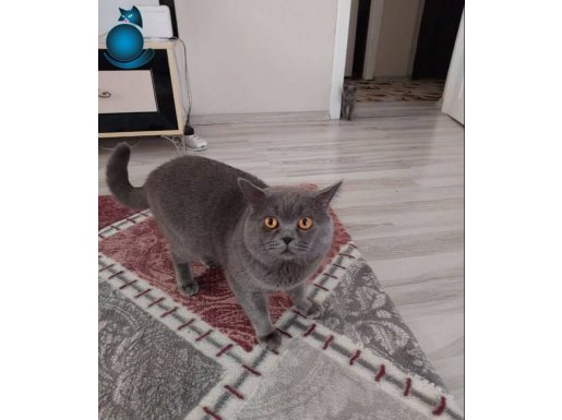 Yakışıklı erkekkk