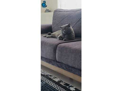 İyi bakılmaları yeterli benim için. 2 aylık 