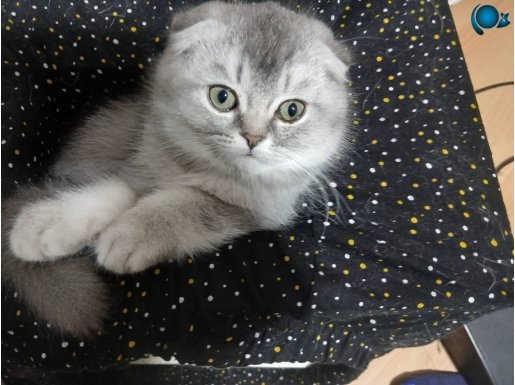 Sevilebilecegi güzel bi yuva