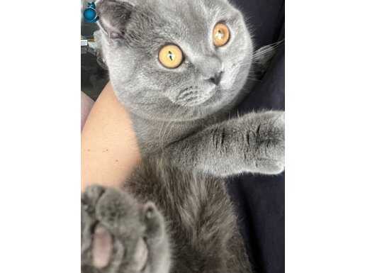 9 aylık tatlı bir çocuk 