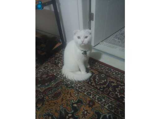 Oğluşuma yeni yuva arıyoruz