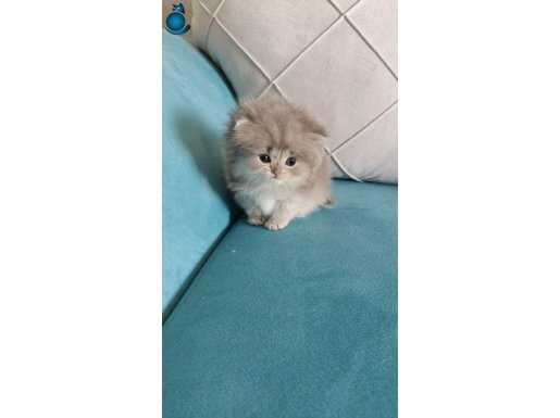 POFUDUK KIZIMIZI SAHİPLENDİRİYORUZ