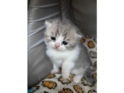 Dünyalar tatlısı oğlumuz “PAŞA”