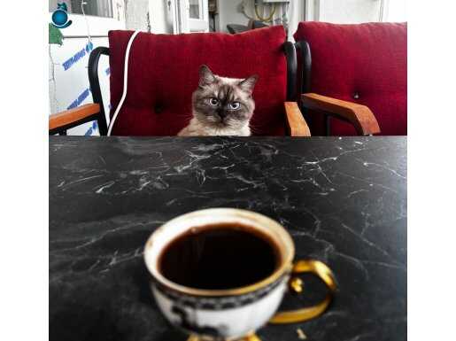 Çikolata point kızımıza yuva arıyoruz 