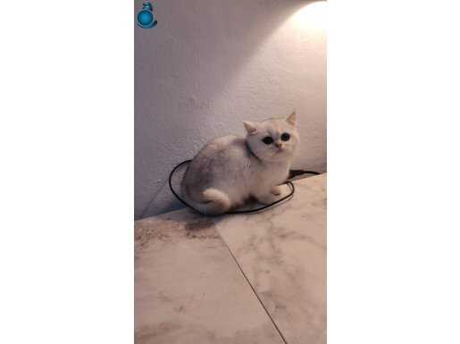 2 aylık efsane bebekler