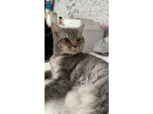 Çok oyuncu muhteşem bi çocuk