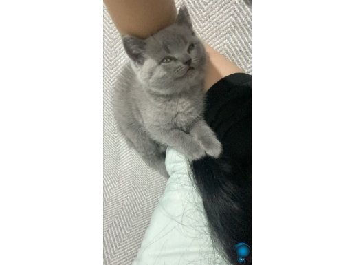 Yavrumuza yuva arıyoruz