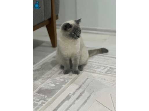 1 bucuk yasında bakımlı kimlik vb hersey var cantası asısı 