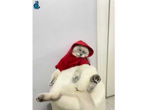 Çok sakin güzel DUDU’muz 