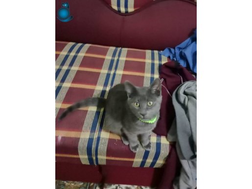 3 aylık erkek cok oyuncu