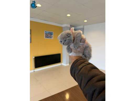 Top kafa yeni gözlerimi açtı 