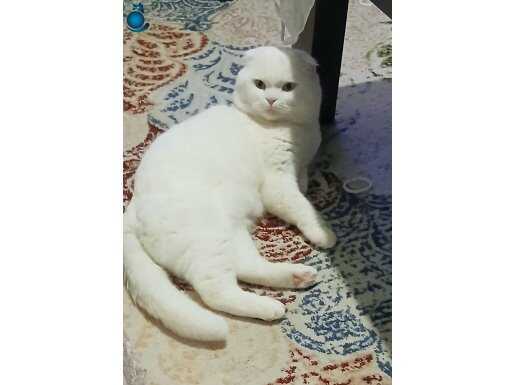 Ben çok yakışıklıyım 