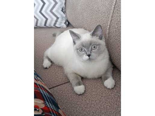 Beyaz prensesimiz ilanda