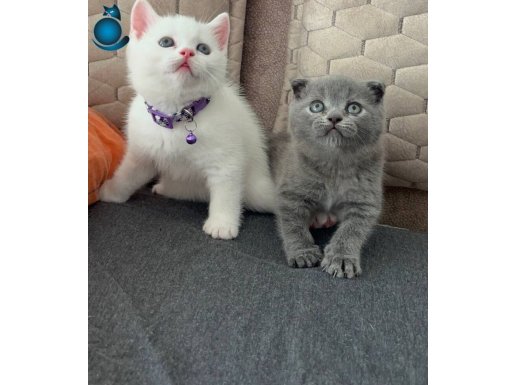 DÜNYA GÜZELİ MİNİK KIZ