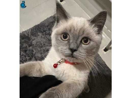 4aylik passaortlu aşıları Tam