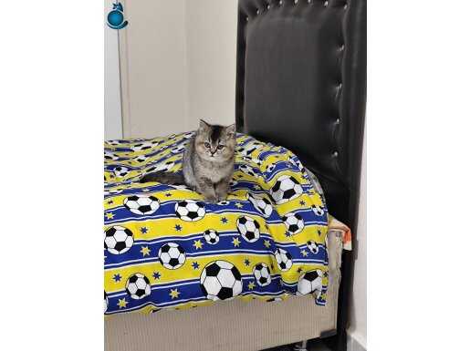 Miniklere Bakılacak Aile Arıyoruz