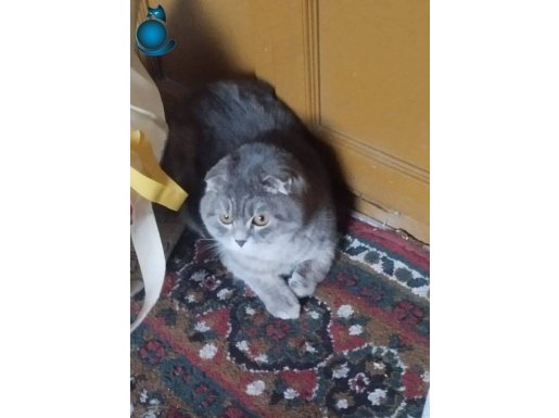 Temiz bakılmış bütün malzemeleri a dan Z ye vardır 