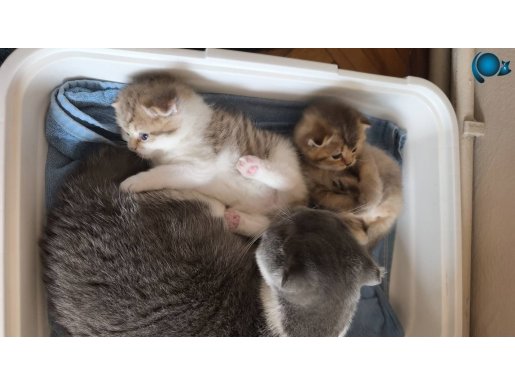 Uyguna güzelliklerimiz sahiplenmeye hazır