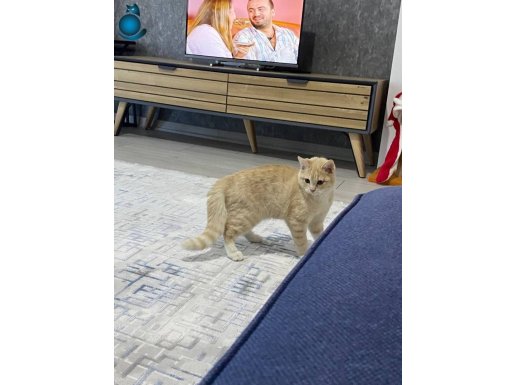 20.11.2025 doğumlu Oğlumuz ilanda!!!!