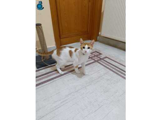 Tarçin'a Ömürlük Yuva Ariyoruz.