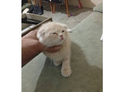 Masum çok Akıllı Huyu Çok Güzel Bir Bebek