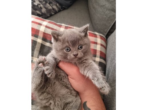 Oyun Delisi Kızımız