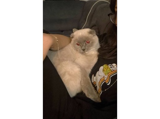 Kısır Uysal Harika bir bebek