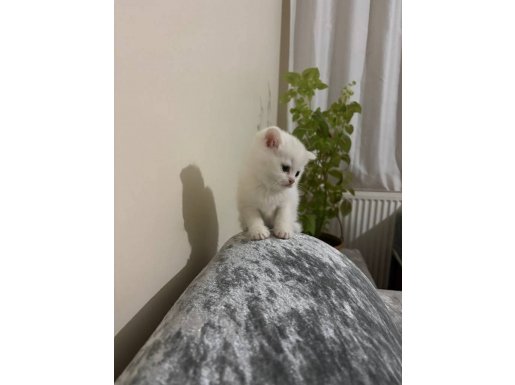 Oğlumuz 2 Aylık Tuvalet Eğitimli