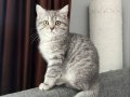 Anne altı sağlıklı bebek