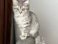 Anne altı sağlıklı bebek