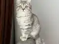 Anne altı sağlıklı bebek