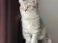 Anne altı sağlıklı bebek