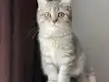 Anne altı sağlıklı bebek