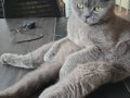 1 yaşındaki uslu kızım
