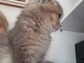 Kendi Güzel Huyu Daha Güzel