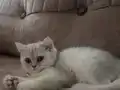 İnci kızımız sevgi dolu yuvasını arıyor