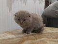 Yavrularımız Yuva Arıyor 