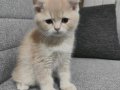 Krem renginde kızımız 