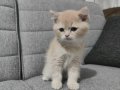 Krem renginde kızımız 