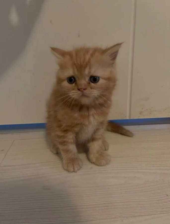 OYUNCU, CANA YAKIN ARKADAŞ