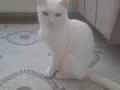 Minnaklar Sizleri Bekliyor